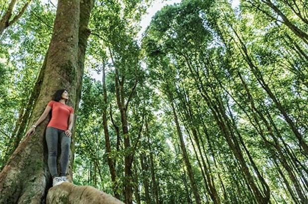 Woman standing on tropical in tropical rainforest setting